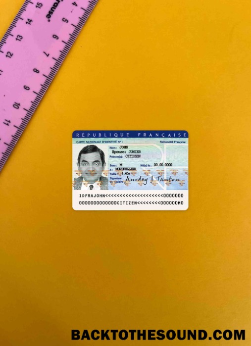 Scarica Francia ID foto-look Fronte Campione design