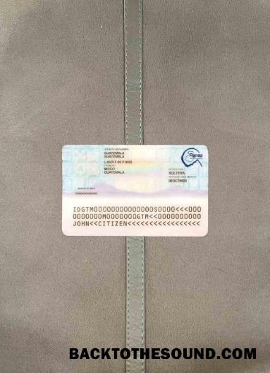 Scarica Guatemala ID foto-look Retro Campione mockup