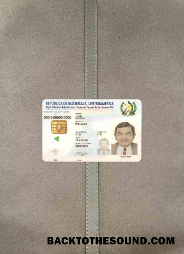 Scarica Guatemala ID foto-look Fronte Campione mockup