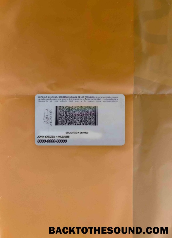 Scarica Honduras ID foto-look Retro Campione mockup