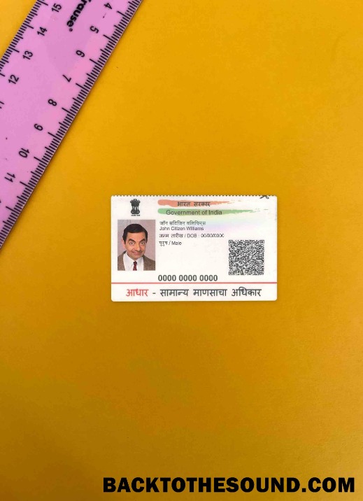 Scarica India ID foto-look Fronte Campione design