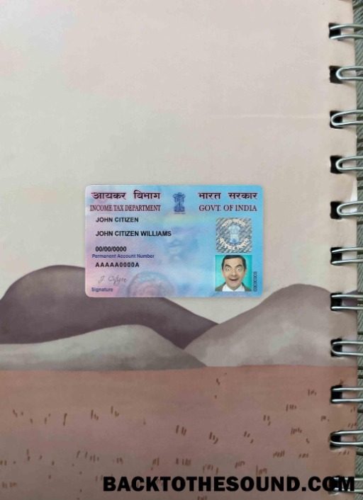 Scarica India e PAN Carta foto-look Fronte Campione mockup