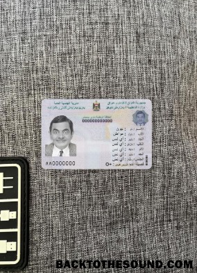 Scarica Iraq nazionale Carta d'identità foto-look Fronte Campione design