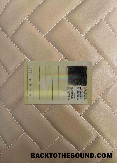 Scarica Korea ID foto-look Retro Campione design