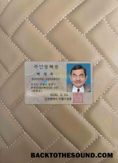 Scarica Korea ID foto-look Fronte Campione mockup