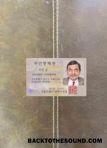Scarica Korea ID Versione 2 foto-look Fronte Campione mockup