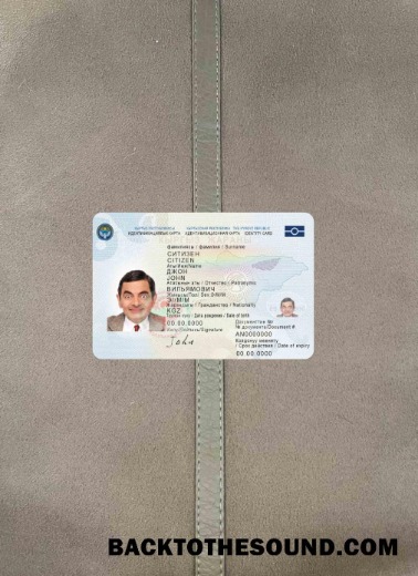 Scarica Kyrgyz Carta d'identità, 2017 – Presente foto-look Fronte Campione design