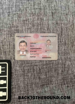 Scarica Kirghizistan Carta d'identità foto-look Fronte Campione modello