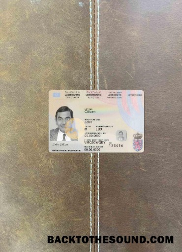 Scarica Lussemburgo Carta d'identità foto-look Fronte Campione design