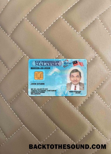 Scarica Malesia ID (2018 – Presente) foto-look Fronte Campione campione