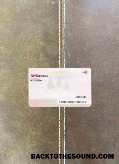 Scarica Mauritius ID foto-look Retro Campione mockup