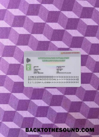 Scarica Messico Consular Carta d'identità foto-look Retro Campione design