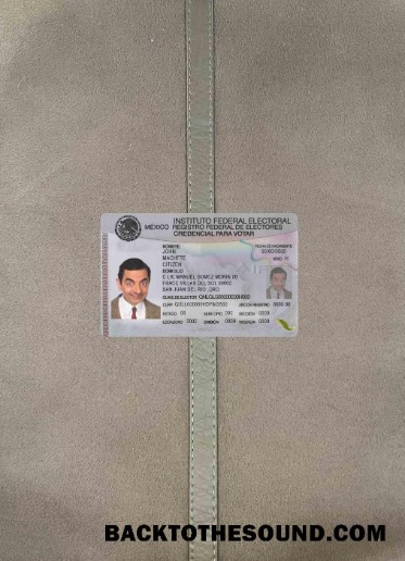 Scarica Messico ID foto-look Fronte Campione mockup