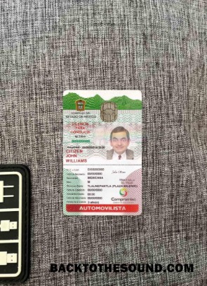 Scarica Messico ID Versione 2 foto-look Campione mockup