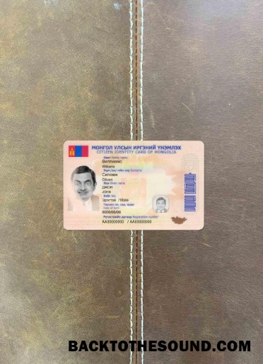 Scarica Mongolia ID foto-look Fronte Campione modello