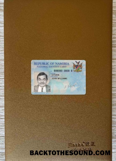 Scarica Namibia ID foto-look Fronte Campione mockup