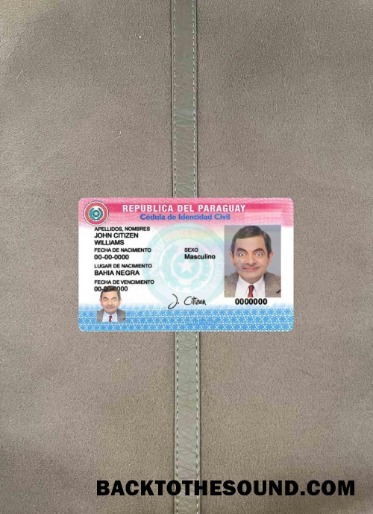 Scarica Paraguay ID foto-look Fronte Campione design