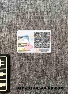 Scarica Filippine ID (2019 Presente) foto-look Retro Campione design