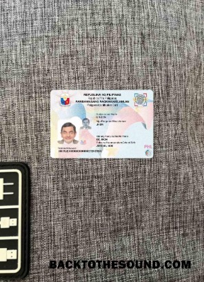 Scarica Filippine ID (2019 Presente) foto-look Fronte Campione mockup
