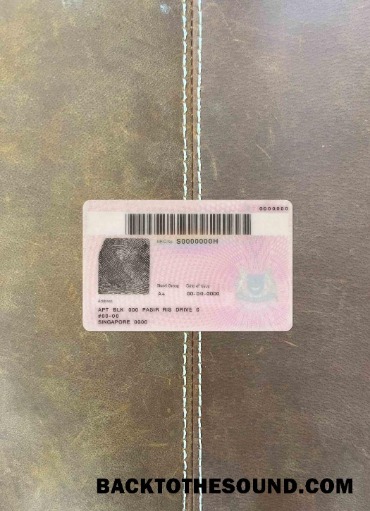 Scarica Singapore ID (updated) foto-look Retro Campione design