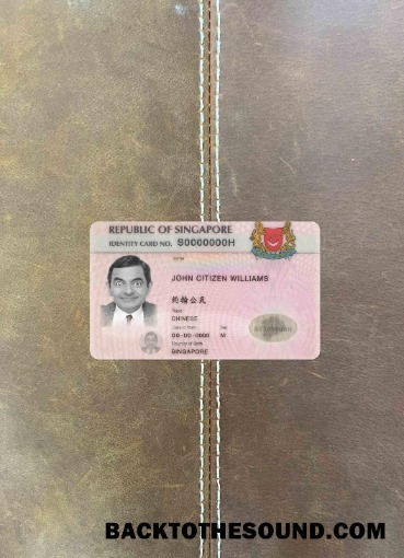 Scarica Singapore ID (updated) foto-look Fronte Campione design