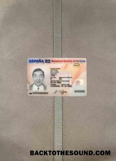 Scarica Spagna ID foto-look Fronte Campione anteprima