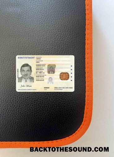 Modificabile Scarica Svezia Identità Carta PSD Modello, 2017 – Presente foto-look Fronte Campione