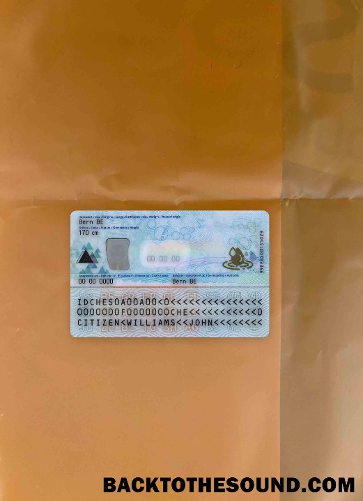 Scarica Svizzera Carta d'identità foto-look Retro Campione modello