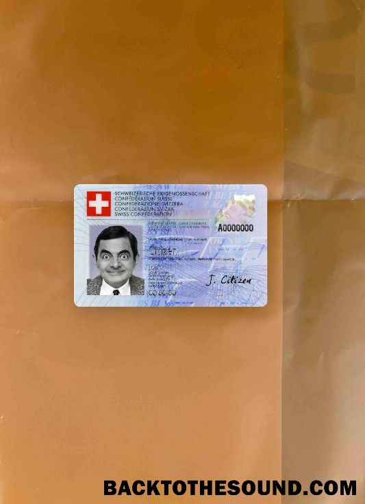 Scarica Svizzera ID foto-look Fronte Campione modello