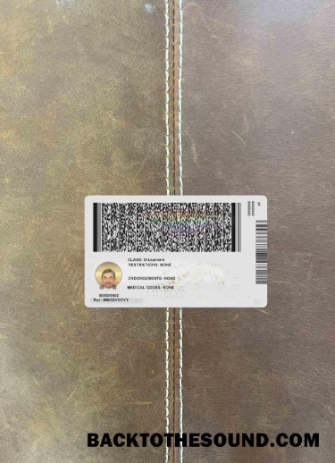 Scarica USA Arkansas Carta d'identità under 21 foto-look Retro Campione modello