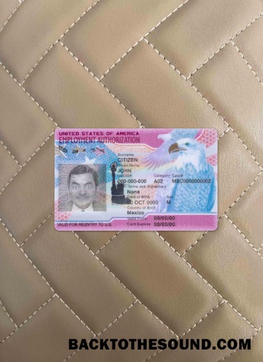 Scarica USA occupazione Autorizzazione foto-look Fronte Campione modello