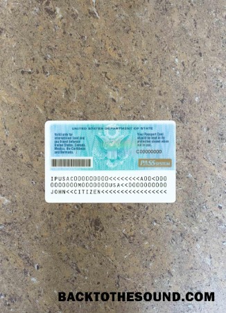 Scarica USA Passaporto Carta d'identità foto-look Retro Campione campione