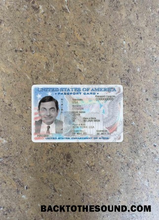 Scarica USA Passaporto Carta d'identità foto-look Fronte Campione campione