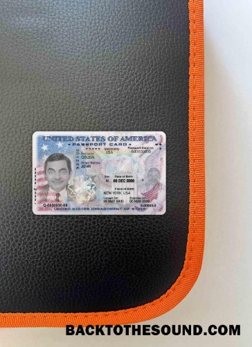 Scarica USA Passaporto Carta d'identità, Versione 2 foto-look Fronte Campione campione