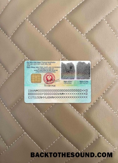 Scarica Vietnam Carta d'identità Retro Campione design