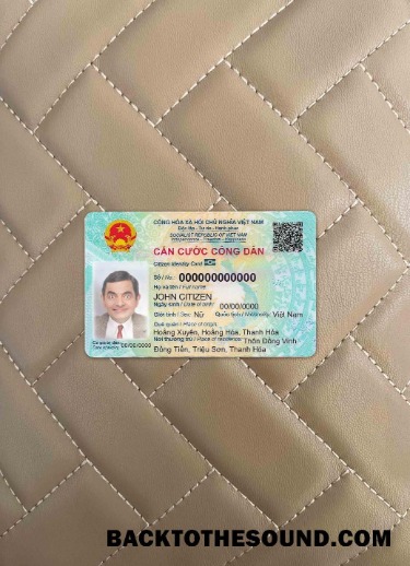 Scarica Vietnam Carta d'identità Fronte Campione campione