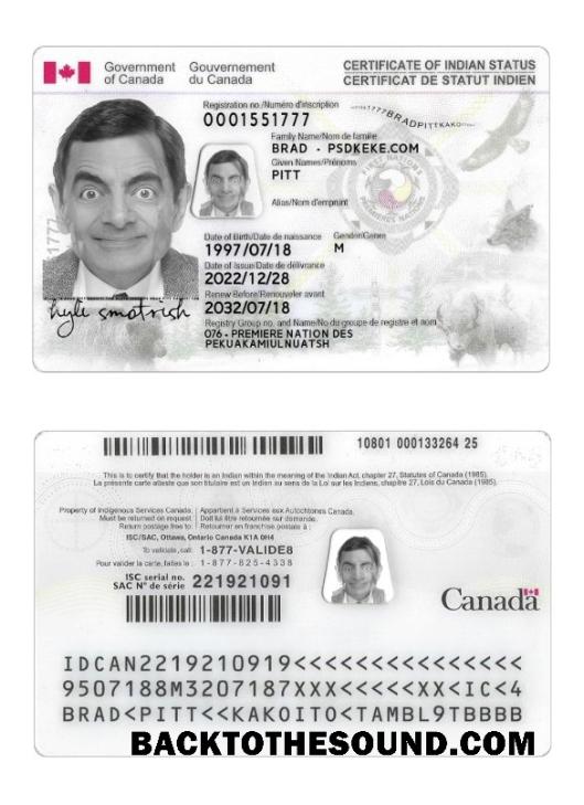 İndir Kanada Indian status Kimlik Kartı Örnek şablon