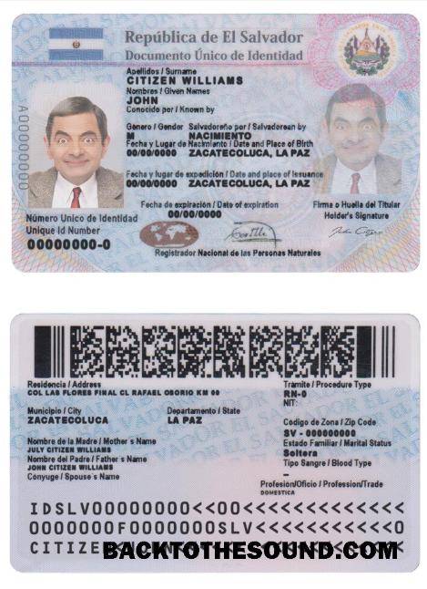 İndir Salvador Kimlik Örnek taslak