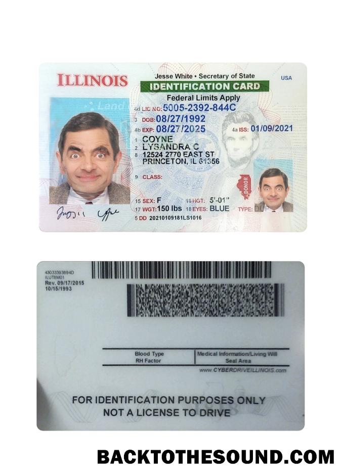 İndir ABD Illinois Kimlik Kartı Örnek ön izleme