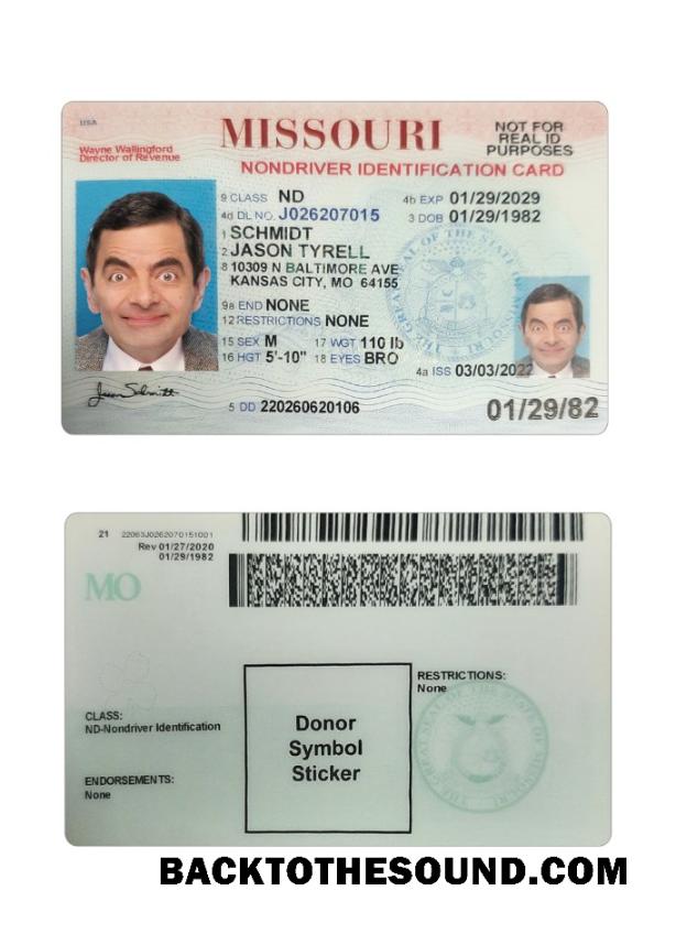 İndir ABD Missouri Kimlik Kartı Örnek şablon