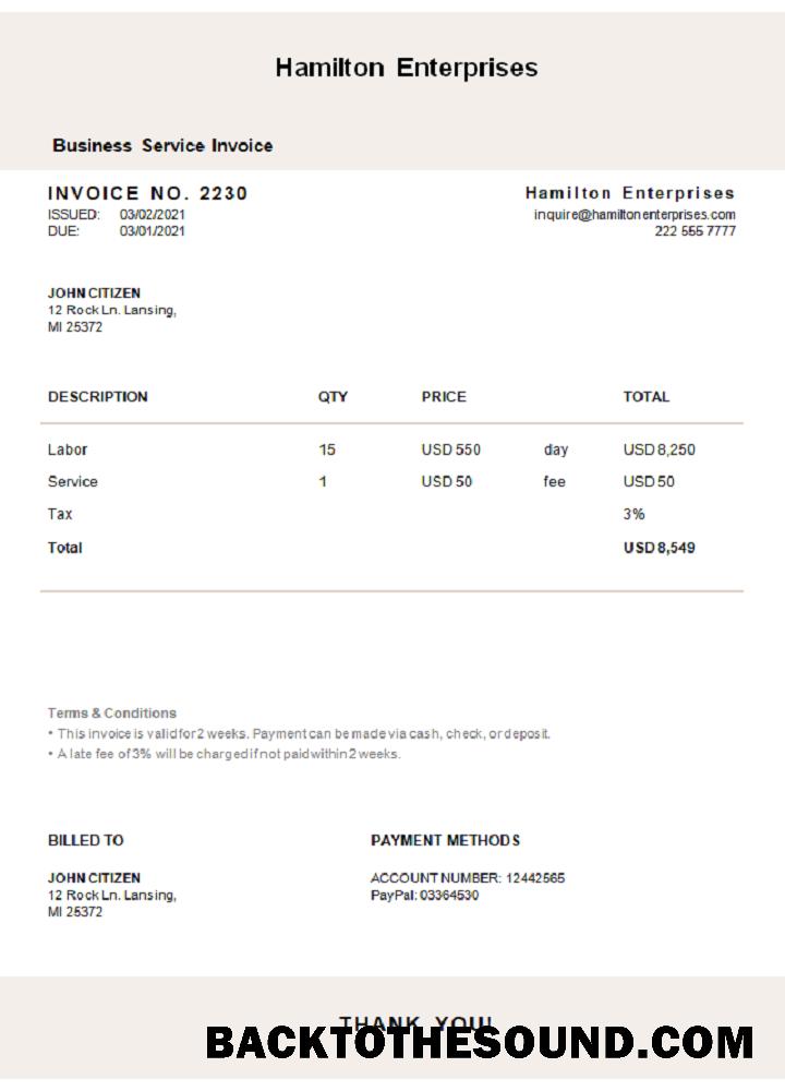 İndir ABD Hamilton Enterprises Fatura Örnek taslak