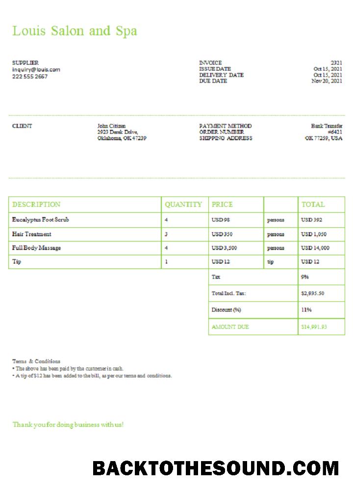 İndir ABD Louis Salon and Spa Fatura Örnek tasarım