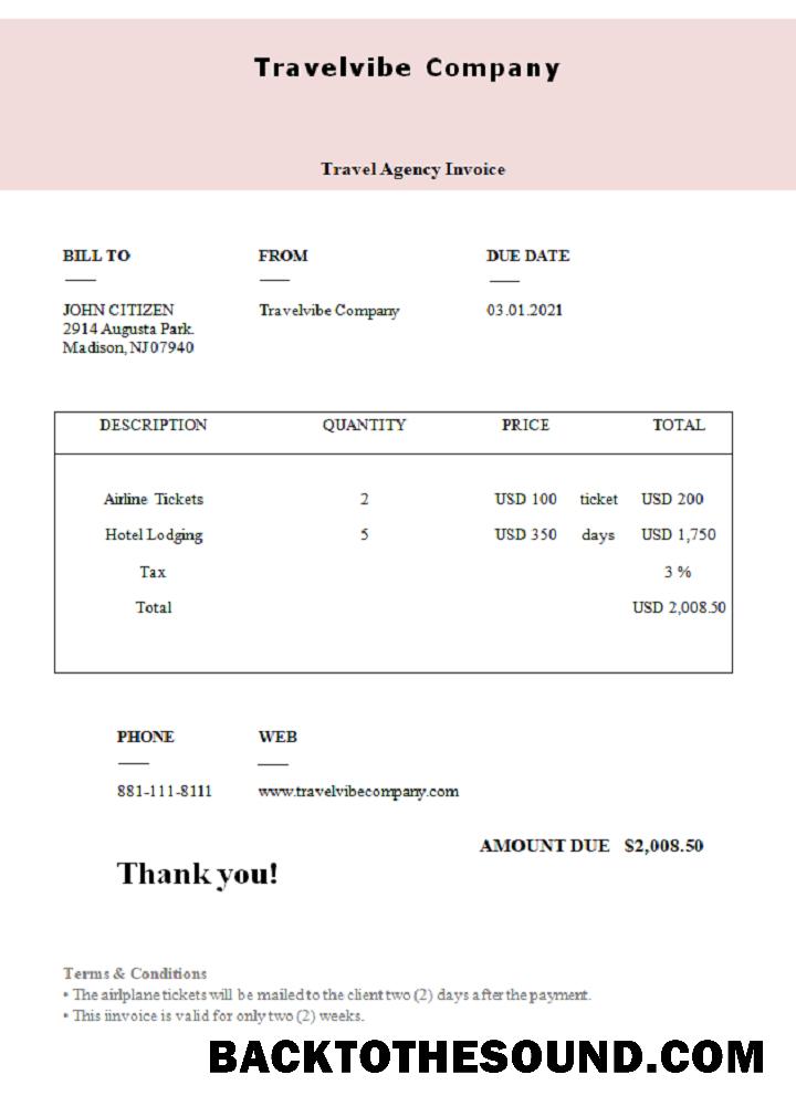 İndir ABD Travelvibe Şirket Fatura Örnek ön izleme
