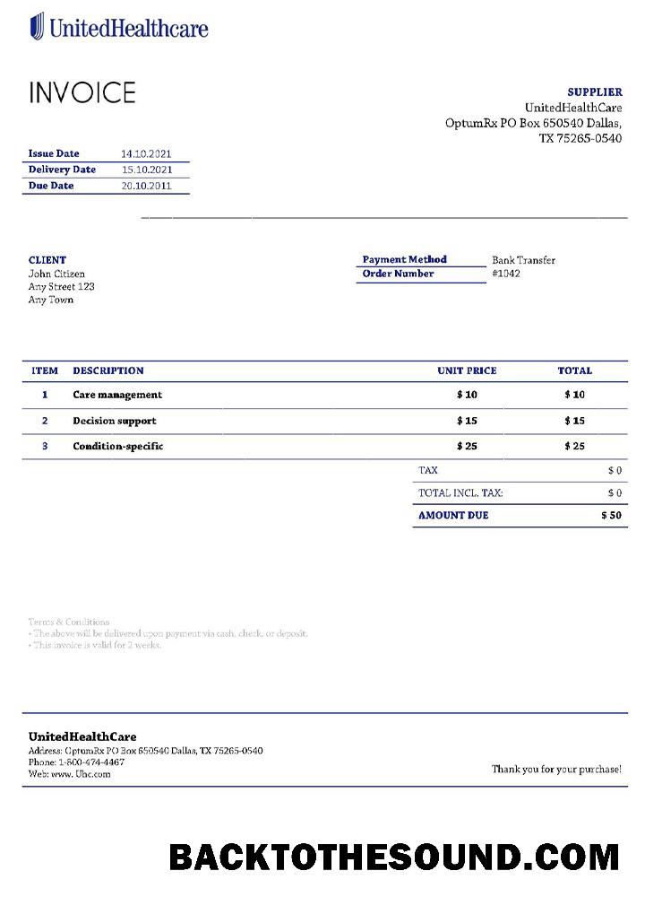 İndir ABD UnitedHealthCare Fatura Örnek ön izleme