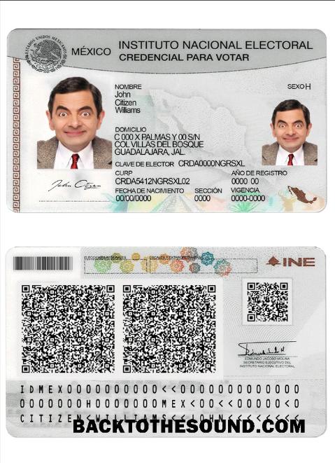 İndir Meksika instituto nacional electoral Örnek örnek