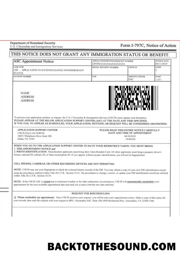 İndir U.S. Citizenship and Immigration services Form I 797C, Notice of action Örnek örnek
