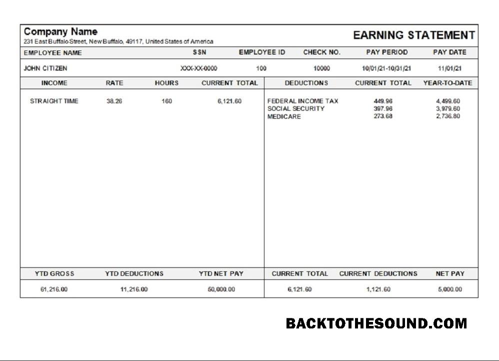 İndir ABD Michigan pay stub Örnek şablon