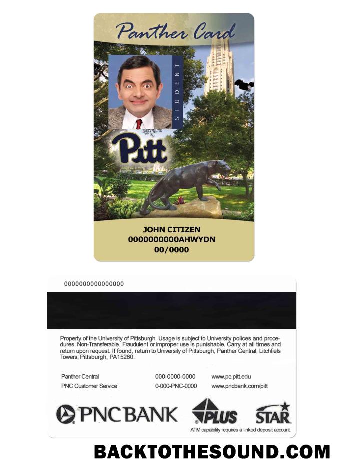 İndir ABD The üniversite of Pittsburgh Öğrenci Kimlik Kartı, Panther Kart Örnek taslak