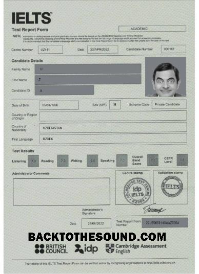 İndir Birleşik Krallık Ielts Rapor Form Örnek şablon