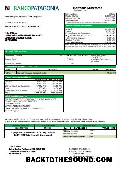 İndir Arjantin Banco Patagonia Banka İpotek Hesap Özeti scr Örnek ön izleme